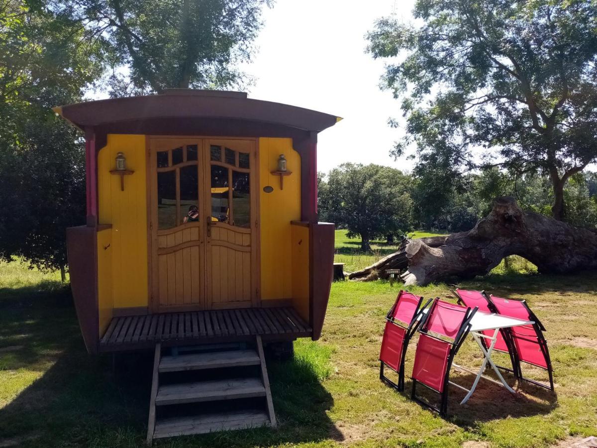Hotel Camping La Bergerie La Chapelle-Achard Exteriér fotografie